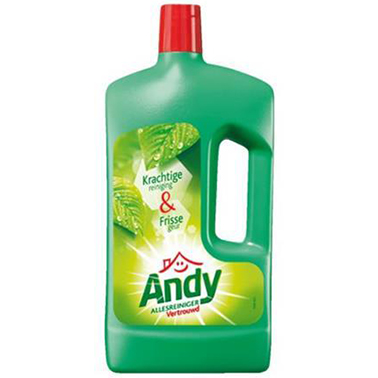 Allesreiniger Andy